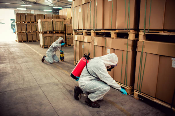 Best Emergency Pest Control  in Winters, CA