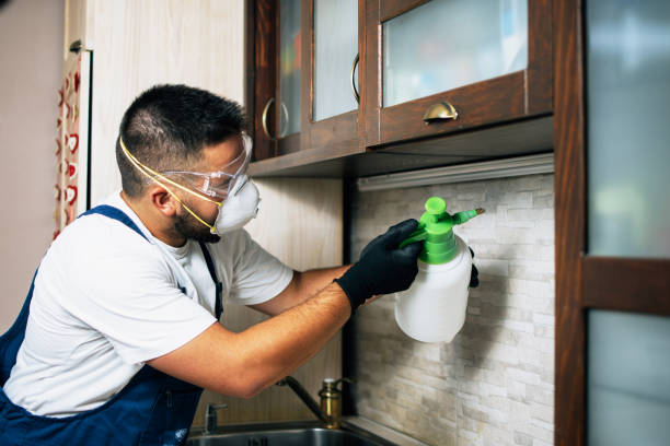 Best Wildlife Control Services  in Winters, CA