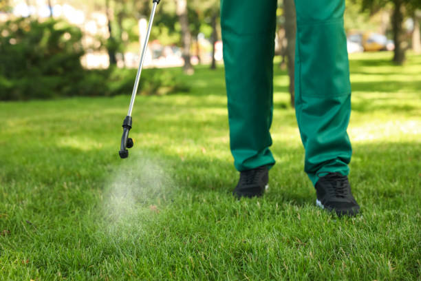 Best Bed Bug Extermination  in Winters, CA