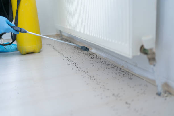 Best Cockroach Control Services  in Winters, CA