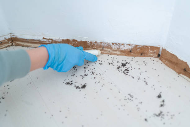 Best Wildlife Control Services  in Winters, CA
