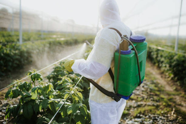 Best Local Pest Control Services  in Winters, CA
